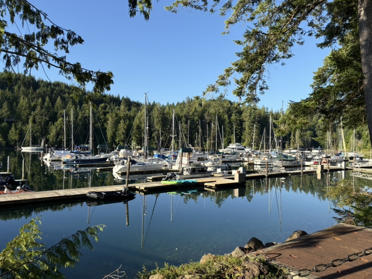 Pleasant Harbor Marina photo